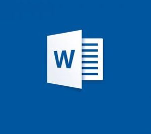 Office 2010 Word Inicial